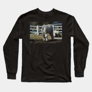 Pony Long Sleeve T-Shirt